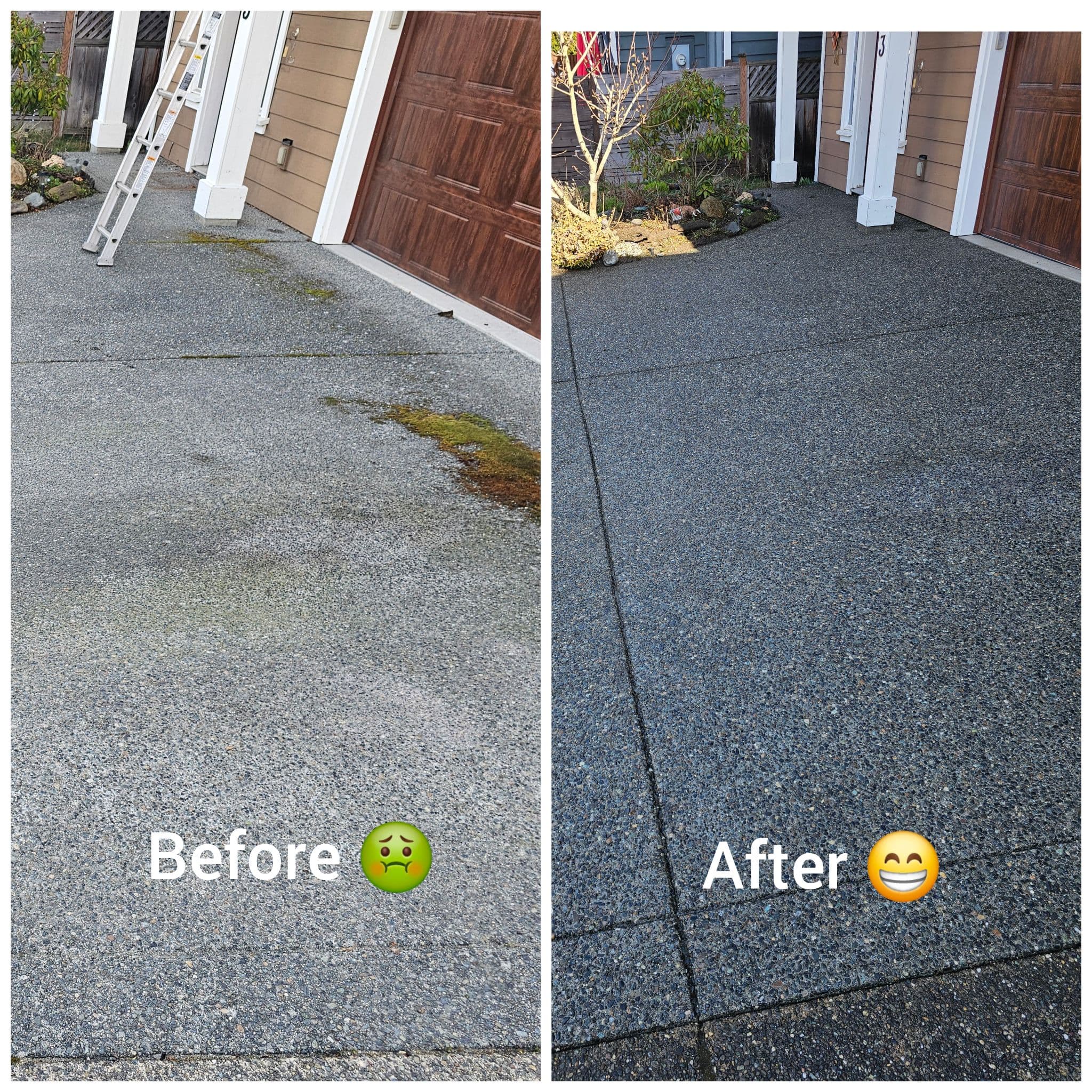 Driveway Pressure Washing Service