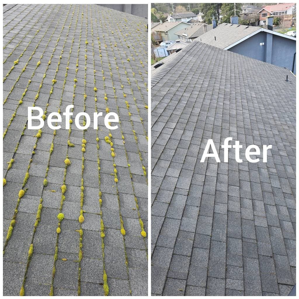 Roof Moss Cleaning Process