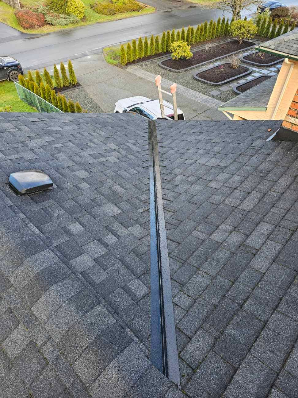 Clean Roof After Moss Removal