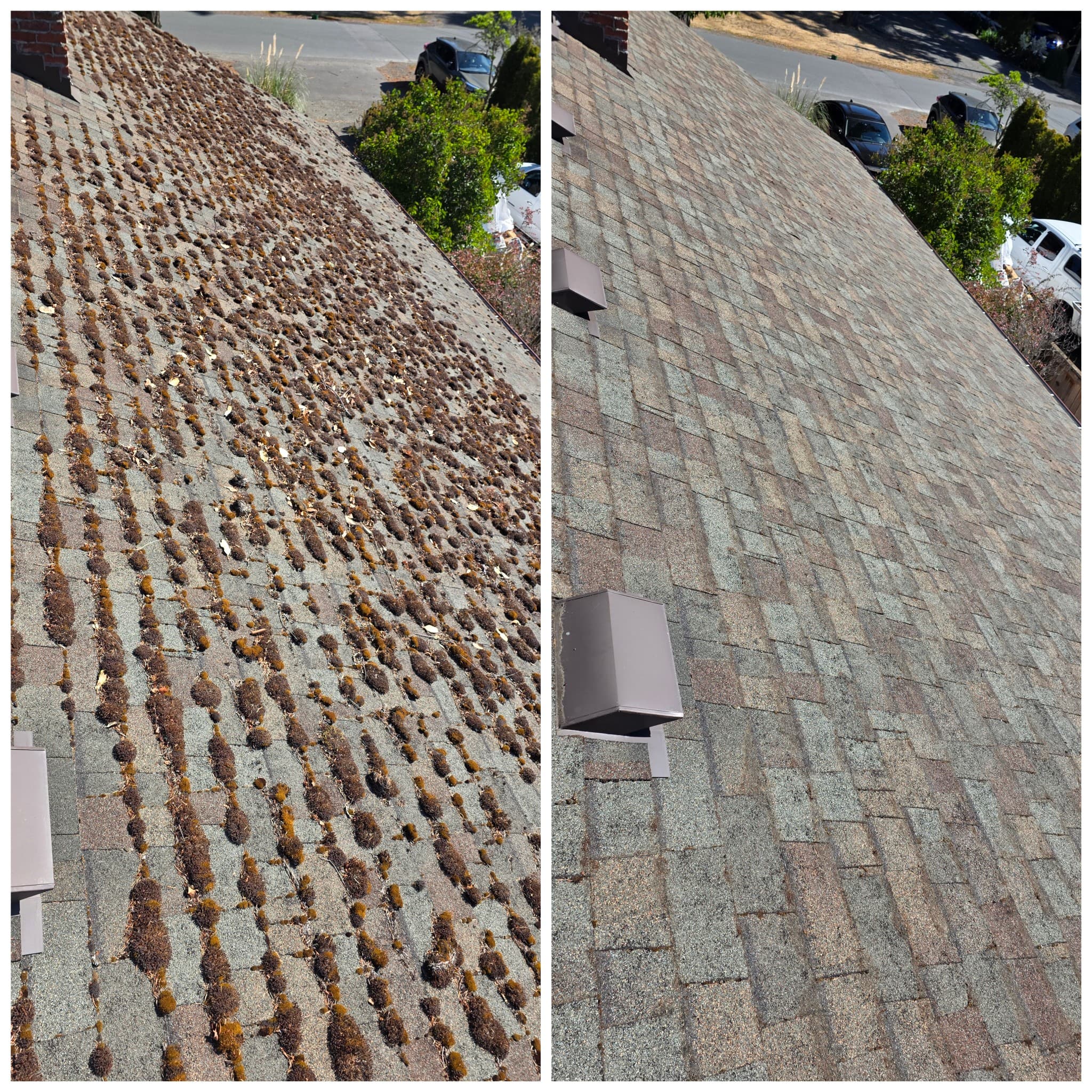 Complete Roof Moss Cleaning