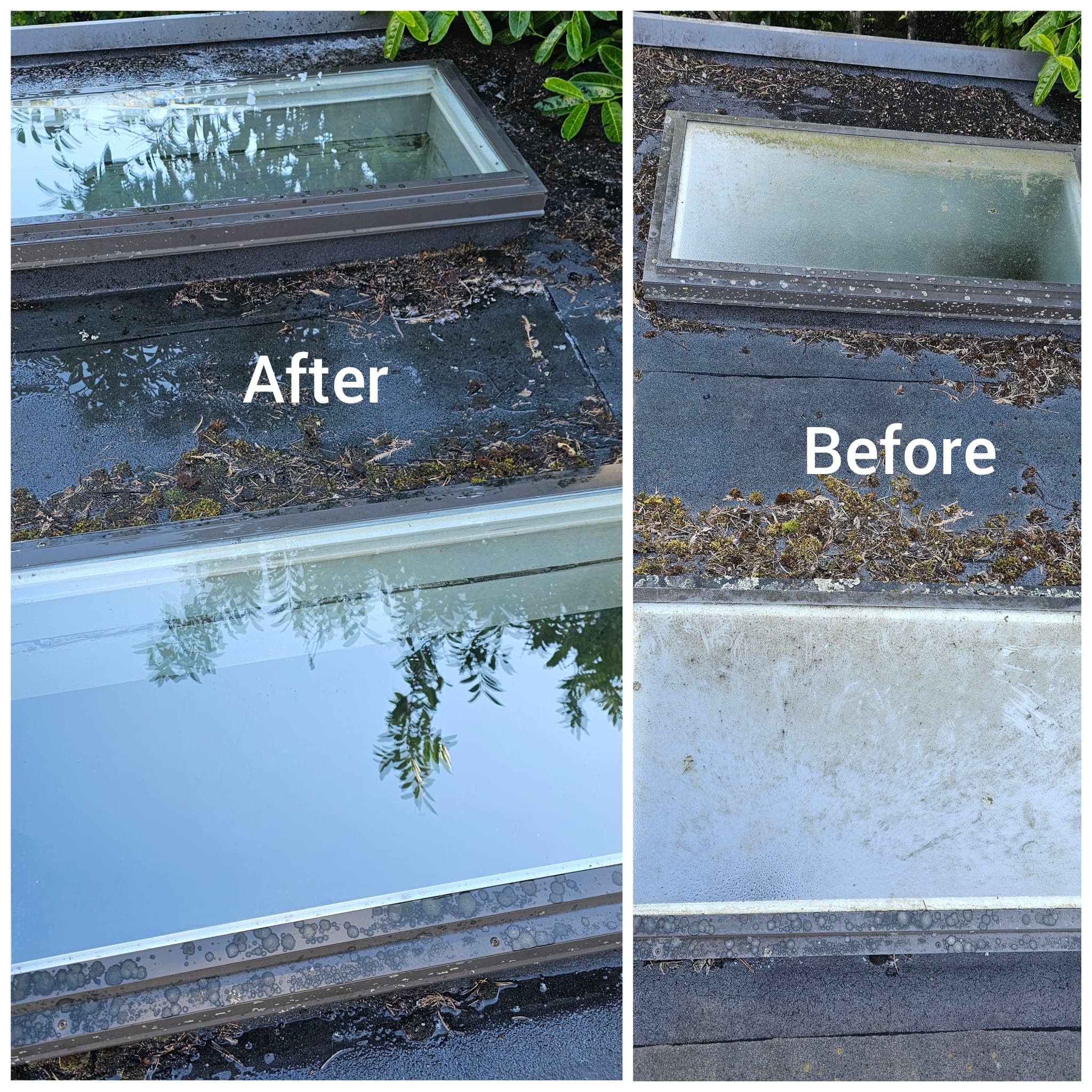 Skylight Cleaning Service