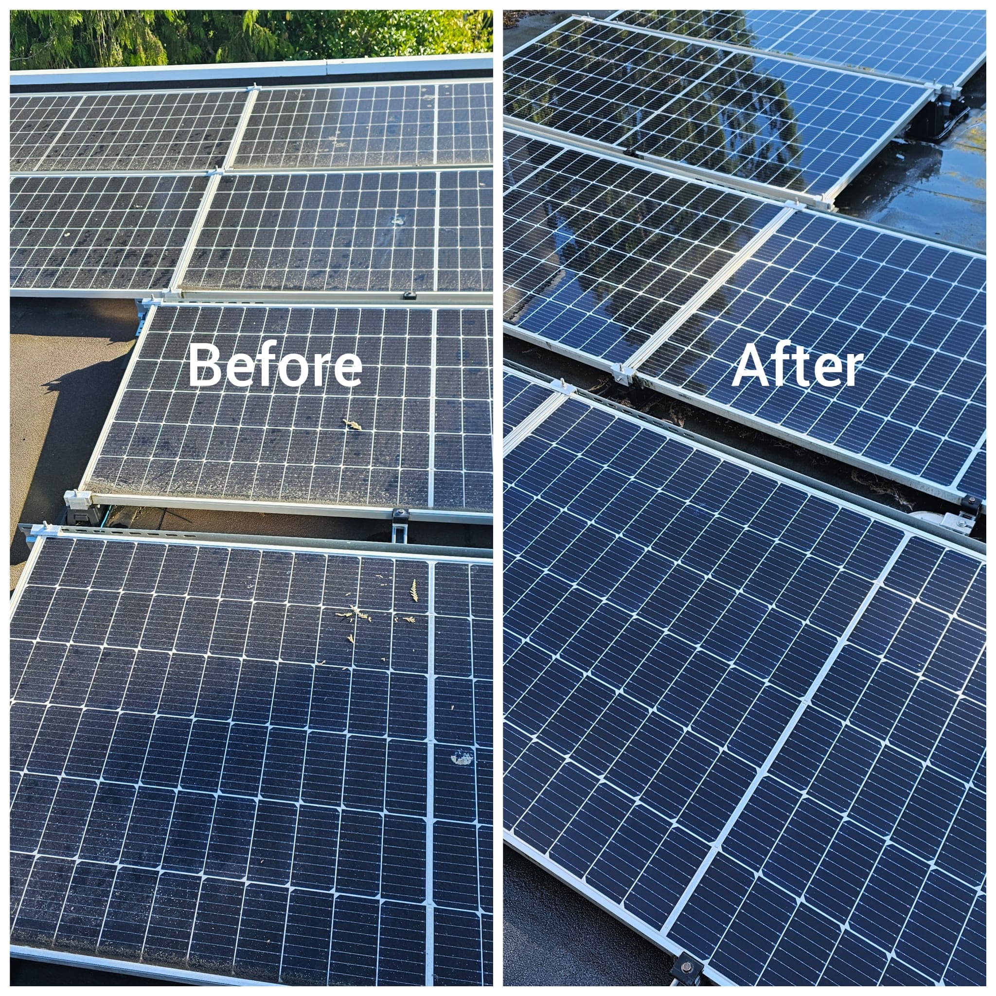 Solar Panel Cleaning